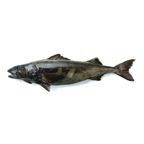 Buy Black Cod Steaks Online Seafoodfriday Hong Kong