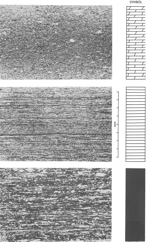 Photomicrographs Illustrating The Characteristic Features Of Marl Slate