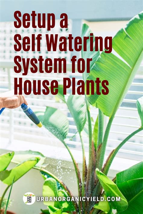 Diy automatic watering system for indoor plants – Artofit