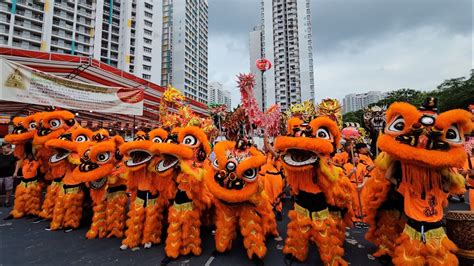 新加坡南仙龍獅體育會九头獅九条祥龍表演助興 Singapore Nam Sieng Lion High Poles Dragon