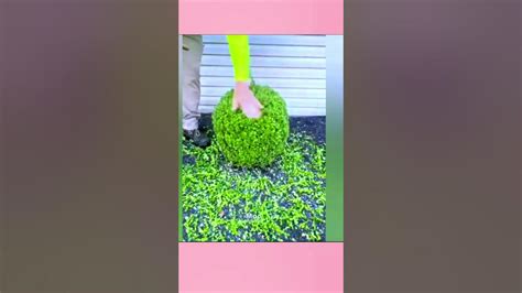 Satisfying Grass Cutting Youtube