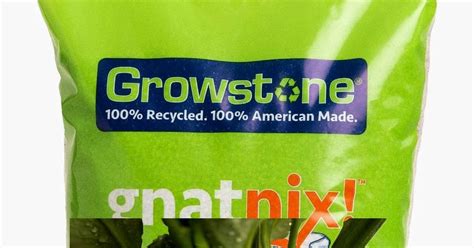 Gnatnix best Fungus Gnat Killer in Potting Soil ~ Best Homemade Gnat Traps and Gnat Bites Guide