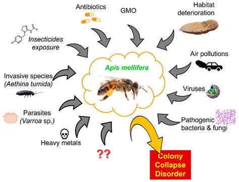 Molecules Free Full Text Effects Of Insecticides And Microbiological Contaminants On Apis