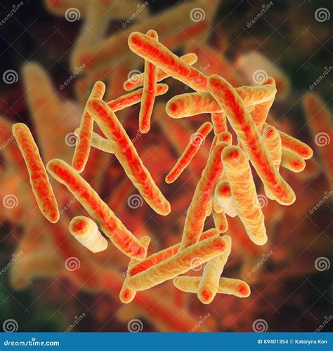 Bacteria Mycobacterium Tuberculosis Stock Illustration Illustration