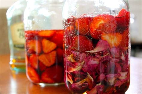 Strawberry Brandy Brandy Recipe Strawberry Brandy Recipe Fruit