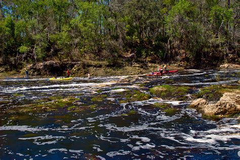 Suwannee River Wilderness Trail | Florida Hikes!