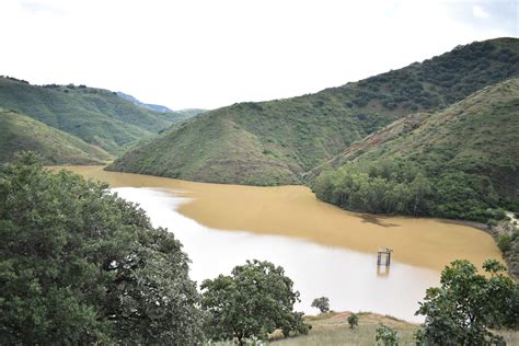 Principales Presas De Guanajuato Presentan Por Ciento De