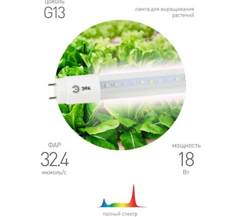 Фитолампы - купить лампу для растений по низкой цене – интернет-магазин ...