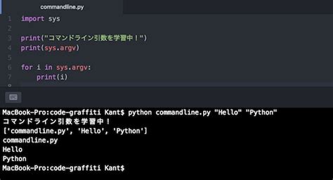 Python入門コマンドライン引数で実行ごとの動作を変更 sysモジュール