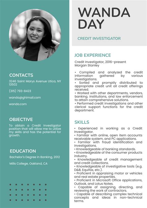 Free Credit Investigator Resume Template Edit Online And Download