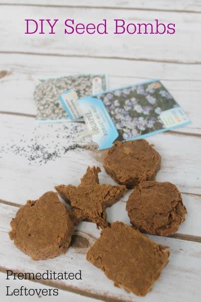 How to Make DIY Seed Bombs - Recipe and Tutorial