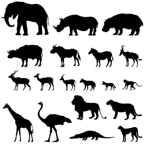 African Animals Vector Silhouettes — Stock Vector © Lakalla 7263118