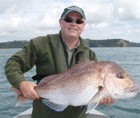 Fishing The Hauraki Gulf The Fishing Website