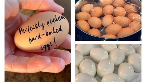 How To Hard Boil Farm Fresh Eggs So That They Peel Easily Chickens