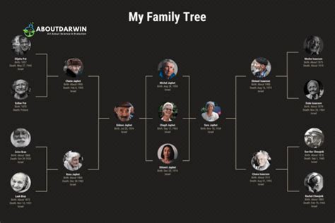 MyHeritage Family Tree Guide: Simplify Genealogy Research