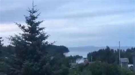 ¡aterrador Así Sonaron Las Alertas De Tsunami En Alaska Tras Terremoto De 78 Videos Radio