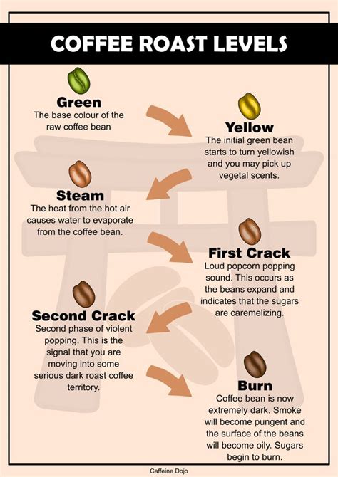 Coffee Roast Levels | Coffee roasting, Raw coffee beans, Coffee type