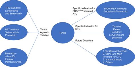 Thyroid Cancer Recent Advances In Diagnosis And Therapy Nabhan