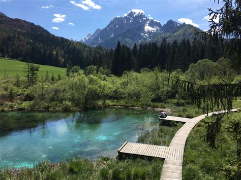 Zelenci Springs - @igslovenia