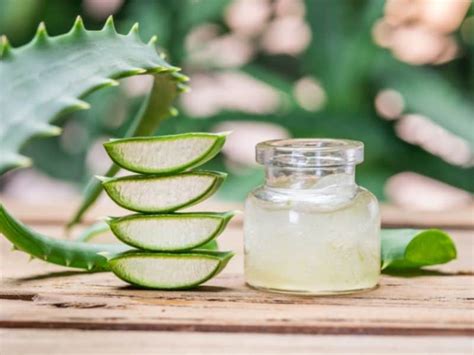 DIY Aloe Vera Hair Mask For Dandruff Recipe