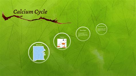 Calcium Cycle by caleb roche on Prezi