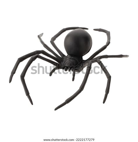 Fake Rubber Spider Toy Isolated Over Stock Photo 2222177279 | Shutterstock