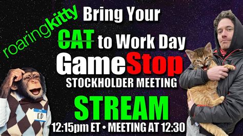 Gamestop Stockholder Stream Bring Your Cat To Work Day Youtube