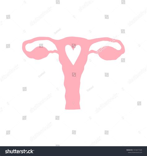 Vector Hand Drawn Pink Uterus Silhouette Stock Vector Royalty Free