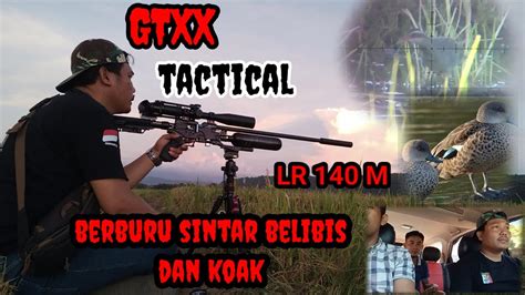 Berburu Burung Sintar Belibis Dan Koak Memakai Unit Gtxx Long Range Di