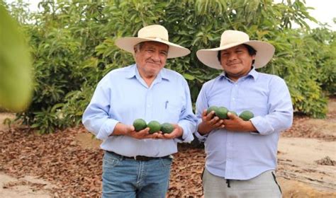 Arequipa Agricultores De Majes Multiplican Por Ocho Sus Ingresos Con