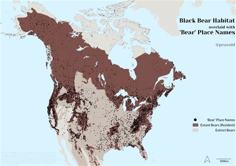 Black Bear Habitat and Place Names – Spatial Overlay