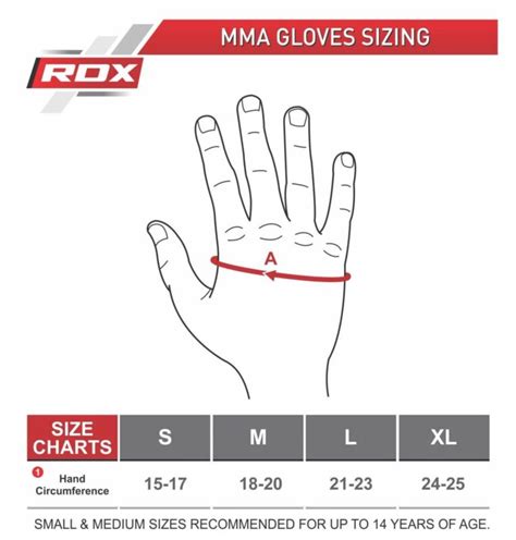 RDX Sparring Gloves T6 B Champs MMA Store