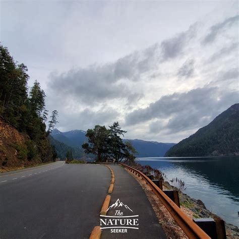 washington coast scenic drive | The Nature Seeker