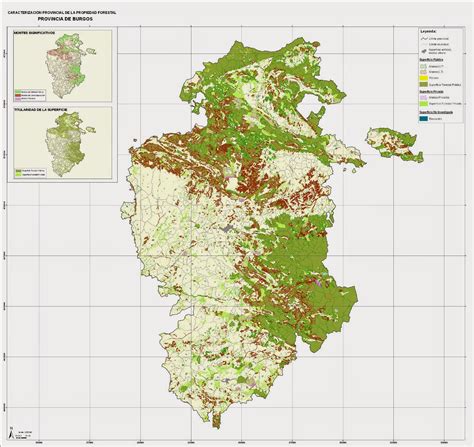 Educaci N Forestal Propiedad Forestal Castilla Y Le N Mapas Provinciales