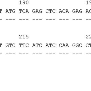 Alignment Of The Sequence Of Exon 3 Of HLADRB3 02 142 With The