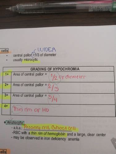 Hematology 1 RBC Anomalies Flashcards Quizlet