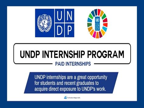 Undp Internships 2023 August Fully Paid Internships