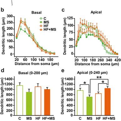 Effects of maternal HFD and MS on mPFC layer II/III pyramidal neuron ... 