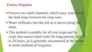 Furrow irrigation | PPT