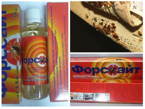 Форсайт от клопов - отзывы и инструкция по применению