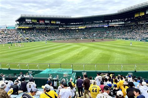 Yahooオークション 69日） 阪神タイガースvs西武 阪神甲子園球場