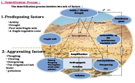 Drought and Desertification - BeSafeNet