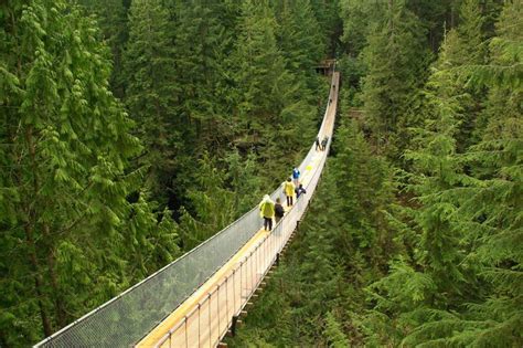 Top 10 Fun Capilano Suspension Bridge Facts