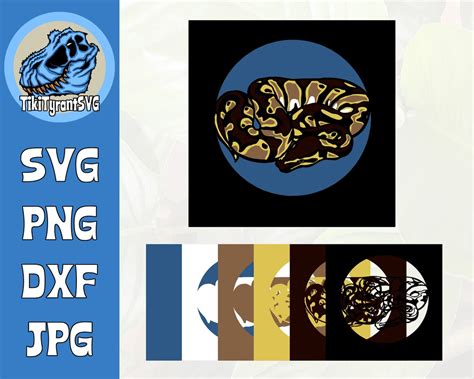 Baby Ball Python Svg 3d Layered Reptile Svg African Snake Svg Etsy