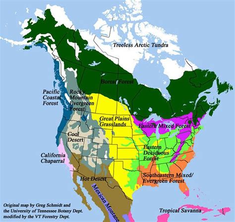 Temperate coniferous forest, Forest map, Biomes