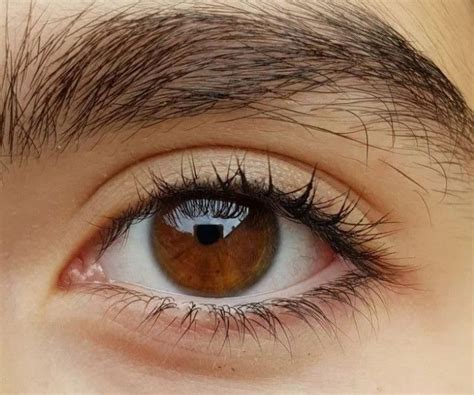 5 Sorprendentes Curiosidades Sobre Las Personas Con Ojos Verdes Artofit