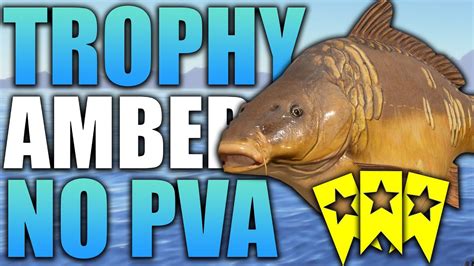 Russian Fishing Active Trophy Carp Spot No Pva Rf Amber Lake