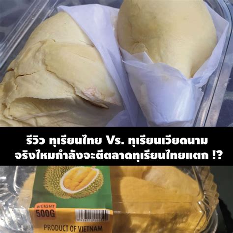 รีวิว ทุเรียนไทย Vs ทุเรียนเวียดนาม ไขคำตอบ จริงไหมกำลังจะตีตลาดทุเรียนไทยแตก