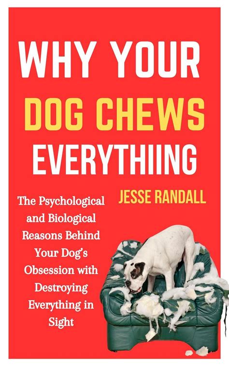 Why Your Dog Chews Everything: The Psychological and Biological Reasons
