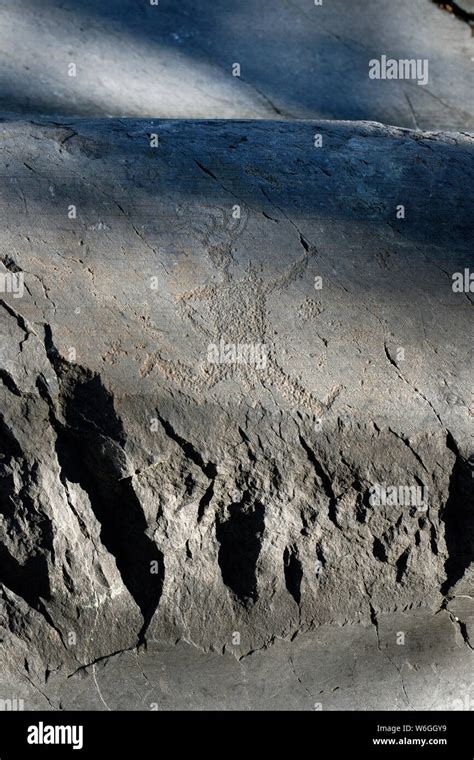 Ancient Rock Engraving In Camonica Valley The Running Priest